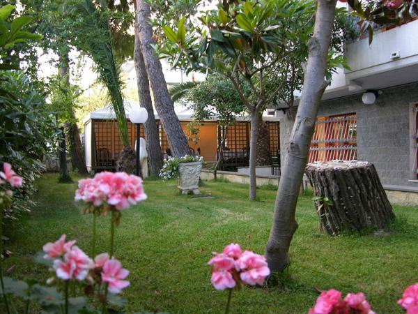 Hotel Bristol Pineto Εξωτερικό φωτογραφία